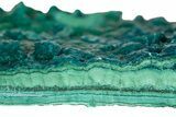 Vibrant Teal Botryoidal Chrysocolla and Malachite - Chile #310117-1